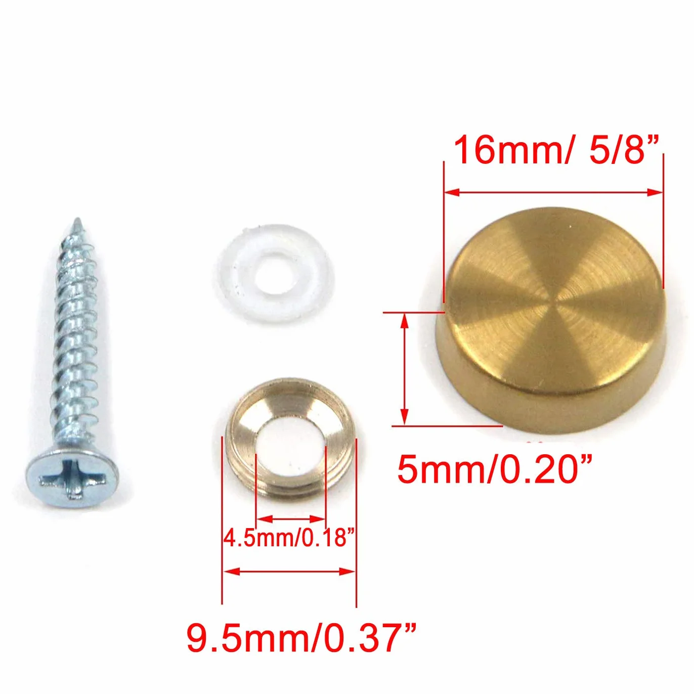 Greluma Viti per Specchietti 16 Pezzi 16mm Acciaio Inossidabile Cappucci Decorativi