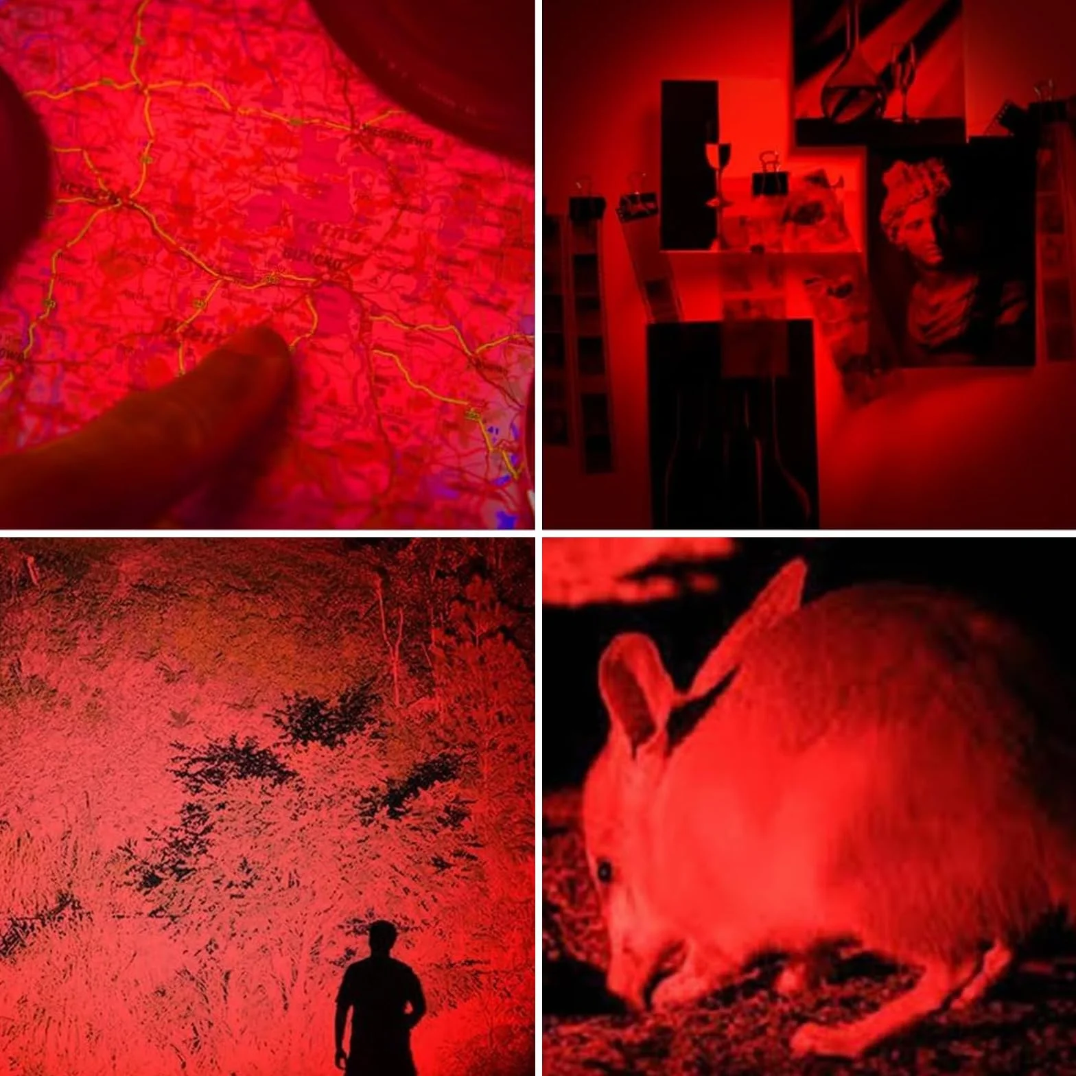Torcia a LED Rossa Impermeabile Zoomabile 3 Modalità per Caccia Notturna