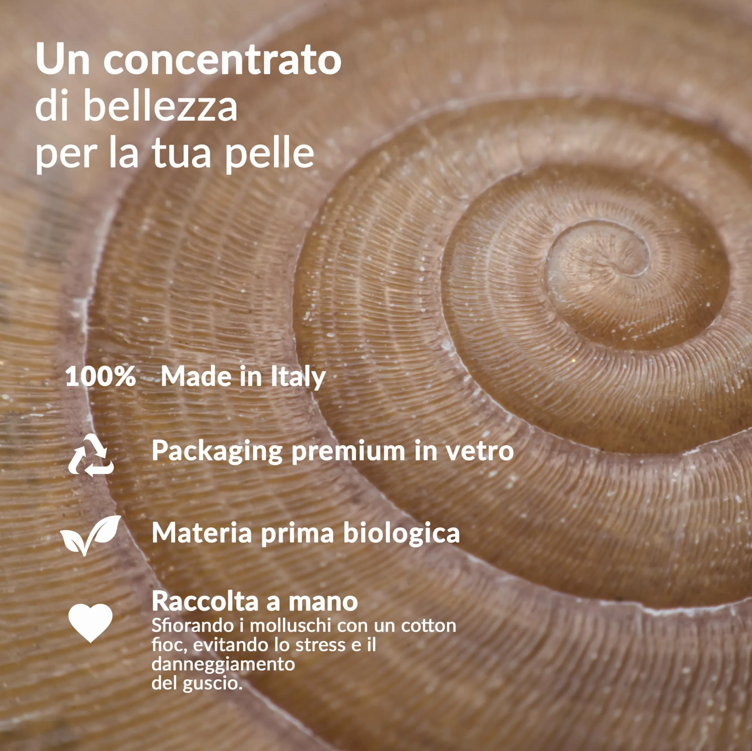 Nuvò - Crema Viso Antirughe con Bava di Lumaca Bio 72%, Anti Aging, 50 ml | con Acido Ialuronico, Olio di Argan, Vitamina C ed E, Crema Idratante Viso ideale per Contrastare le Rughe, Made in Italy