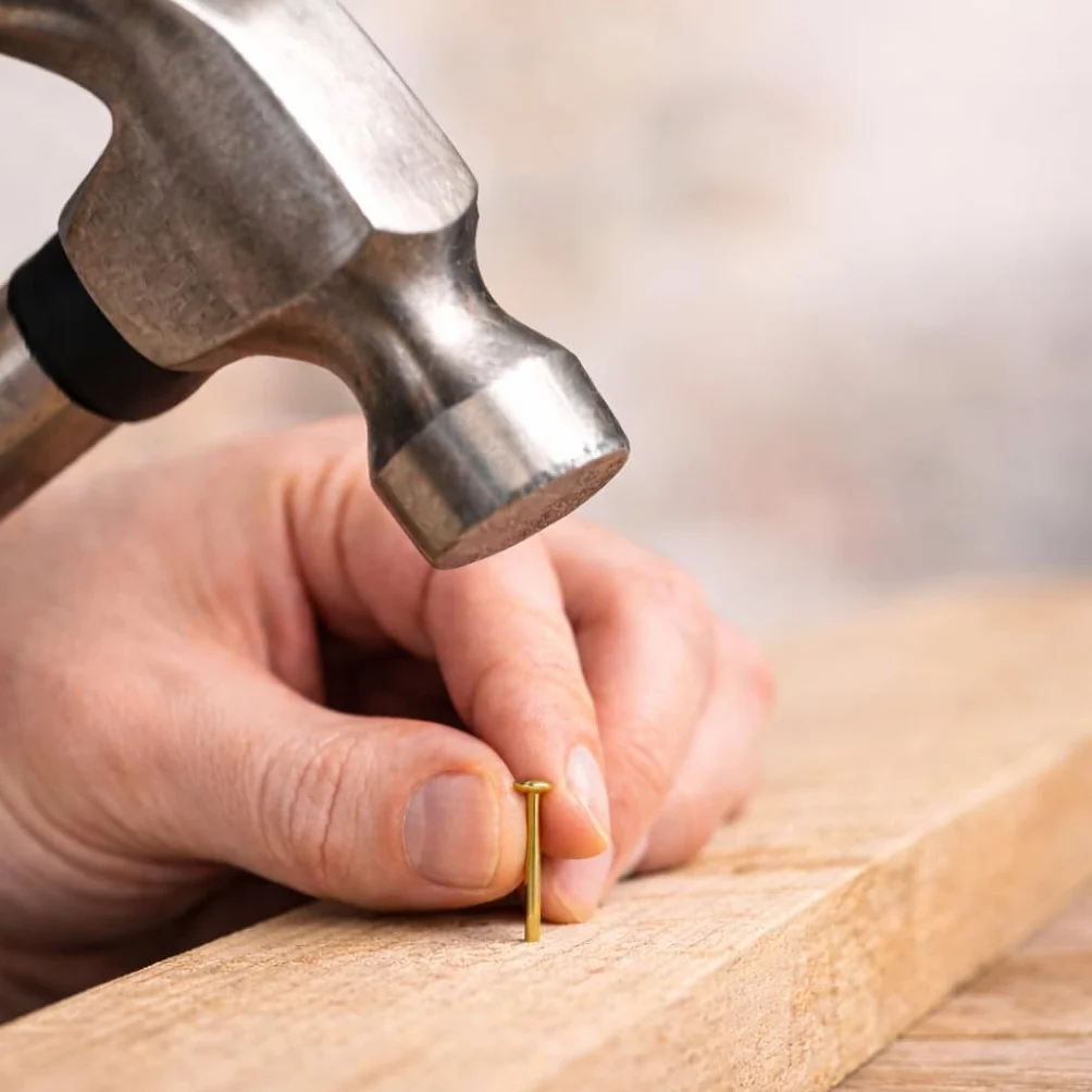 Chiodi per Legno 20 mm 75 Pezzi Testa Piatta per Modellismo e Cornici