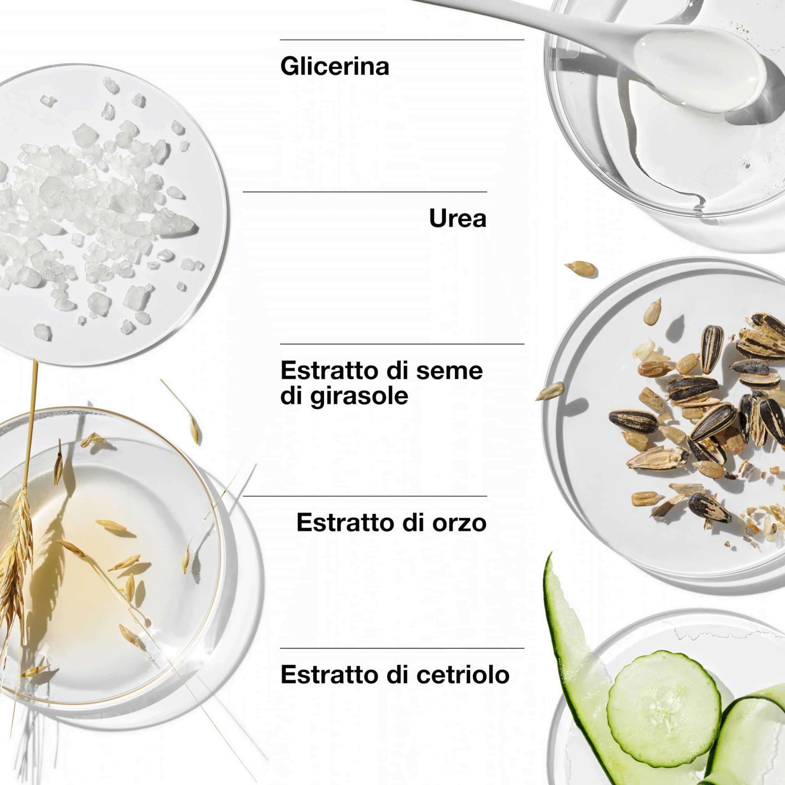 Clinique Dramatically Different Daily Nutriente Lozione+ | Idratante per pelli miste o secche