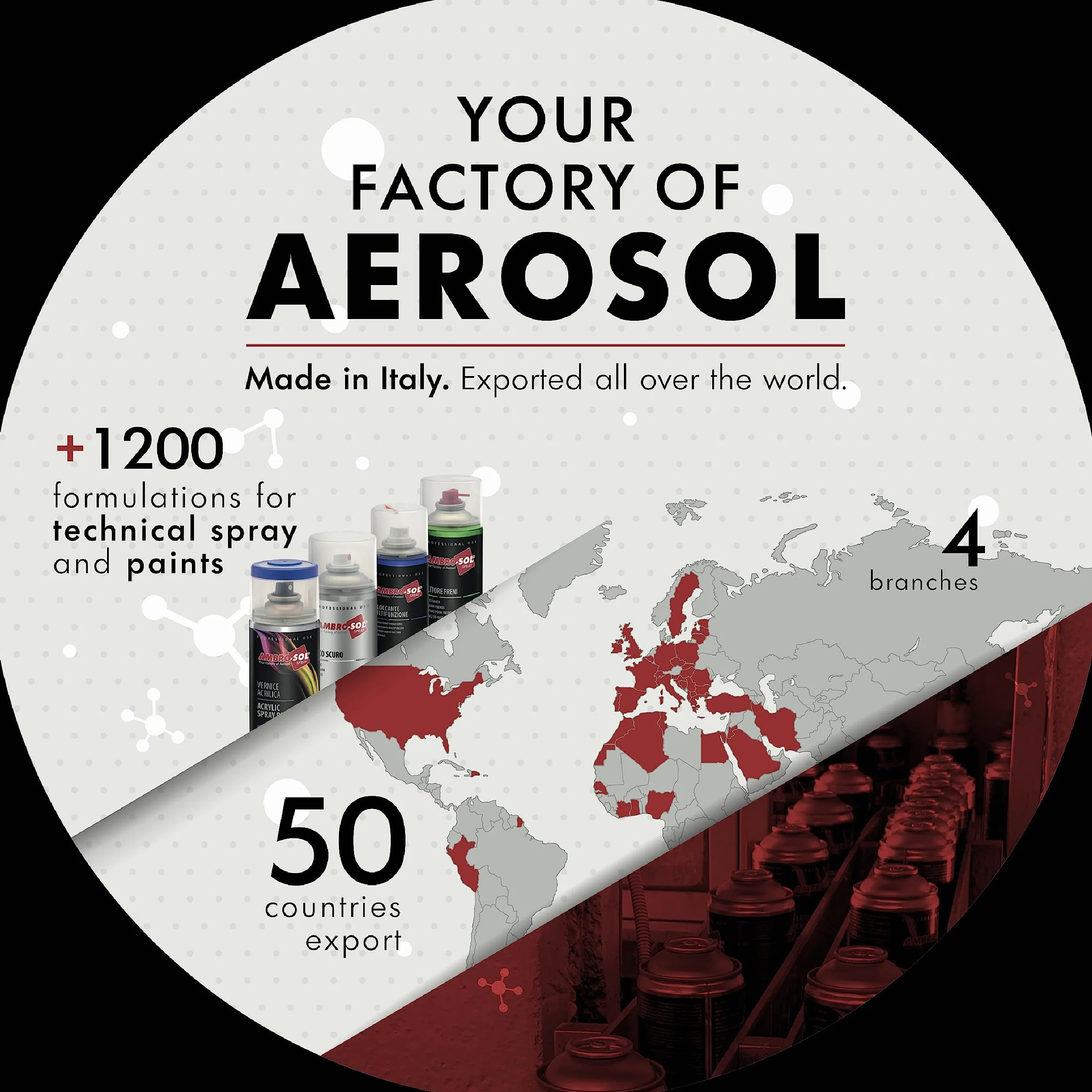 Ambro-Sol P301 Rimuovi Silicone Spray 400 ml