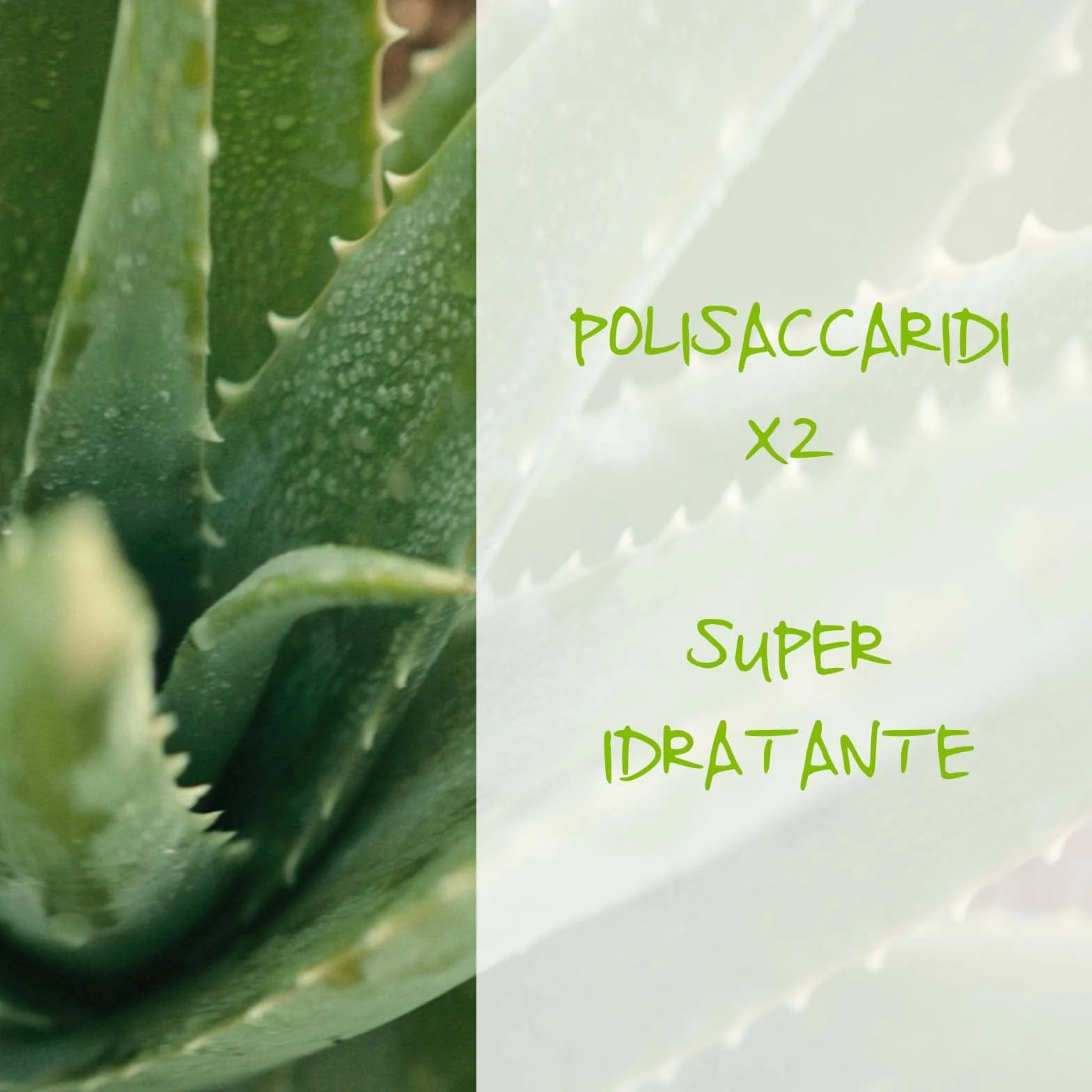 Omia - Detergente Viso Aloe Vera del Salento Eco Bio, Struccante Idratante, Equilibrante, Adatto a Tutti i Tipi di Pelle, Dermatologicamente Testato.