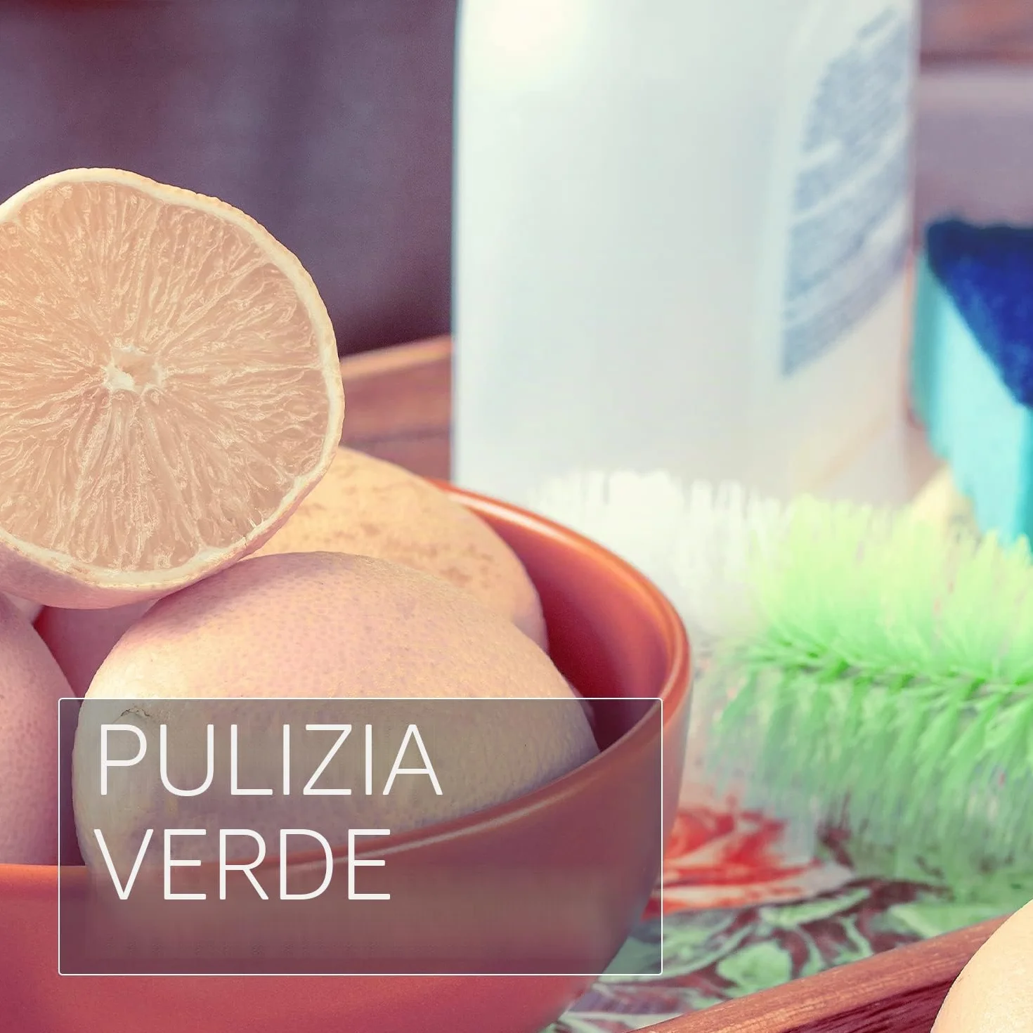 Naissance Sapone di Castiglia Liquido BIO (No. 407) - 5 Litri - Naturale, Puro, Certificato Biologico, Senza Profumo - Privo di SLS e SLES e Vegano