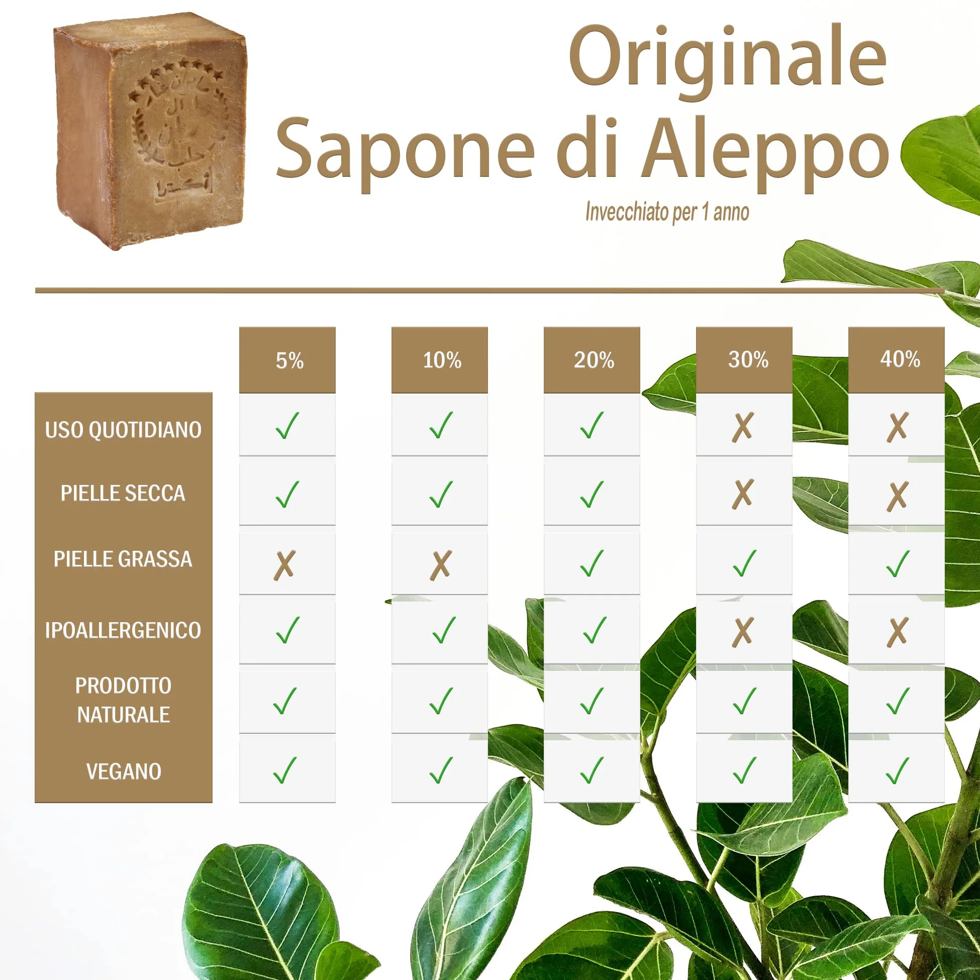 TUMELO Sapone di Aleppo Originale 4 x 200g (800g) 60% Olio d'Oliva 40% Olio di Alloro + Sacchetto di sapone - Sapone all'Olio d'Oliva fatto a mano - Sapone naturale - Sapone solido per capelli