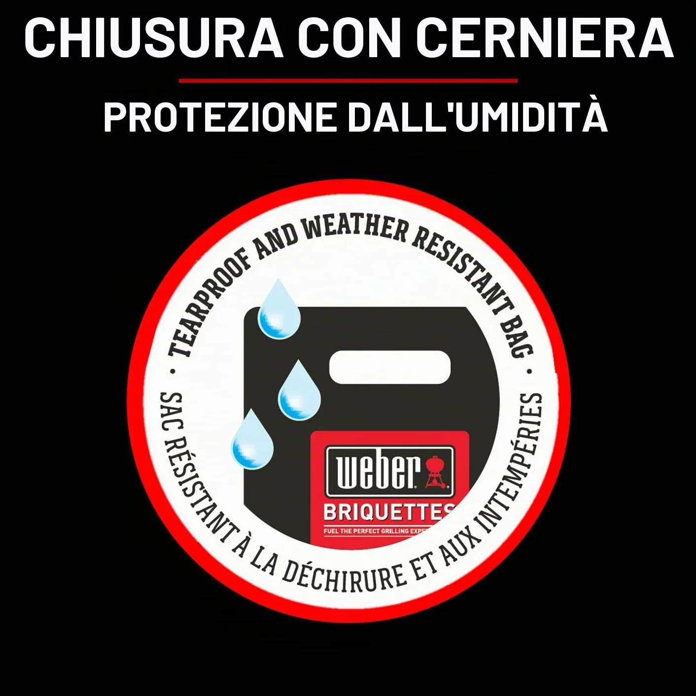 Weber Bricchetti di carbone 4 kg BBQ combustibile naturale accensione 20 minuti 3 ore