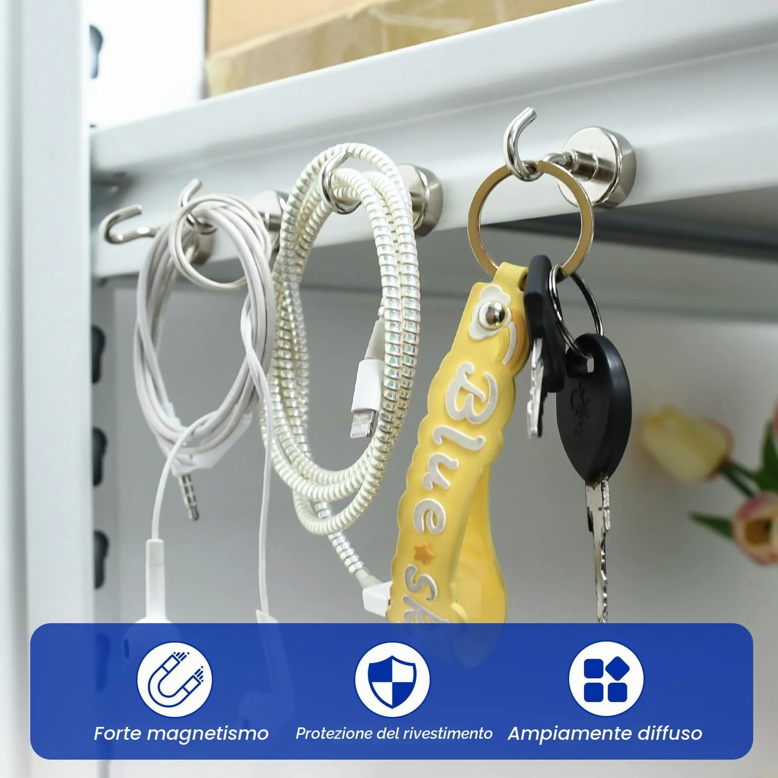 Ganci magnetici al neodimio 20 mm robusti confezione da 6 per frigorifero cucina ufficio