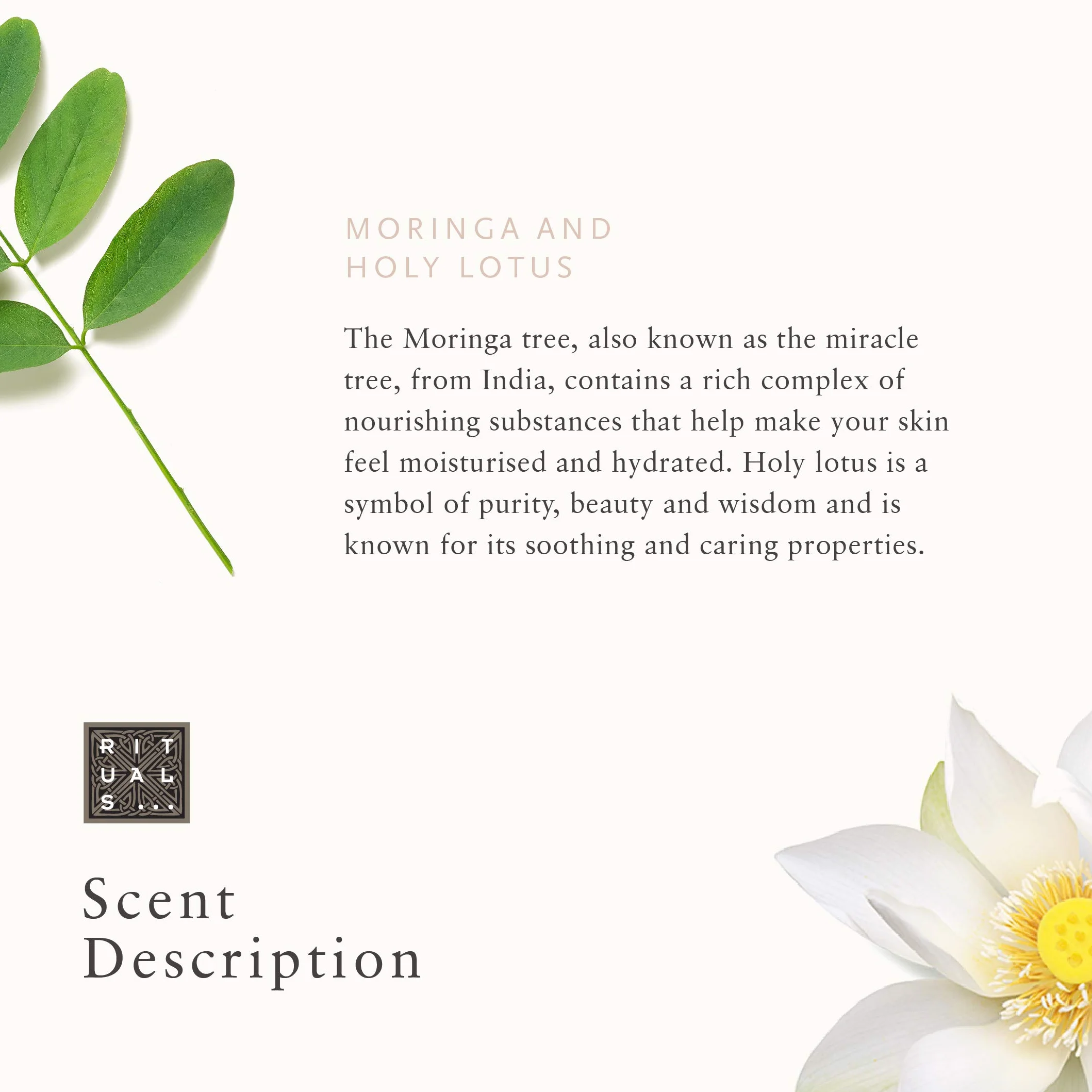 RITUALS THE RITUAL OF NAMASTÉ Gentle Cleansing Foam, Schiuma Detergente, 150 ml