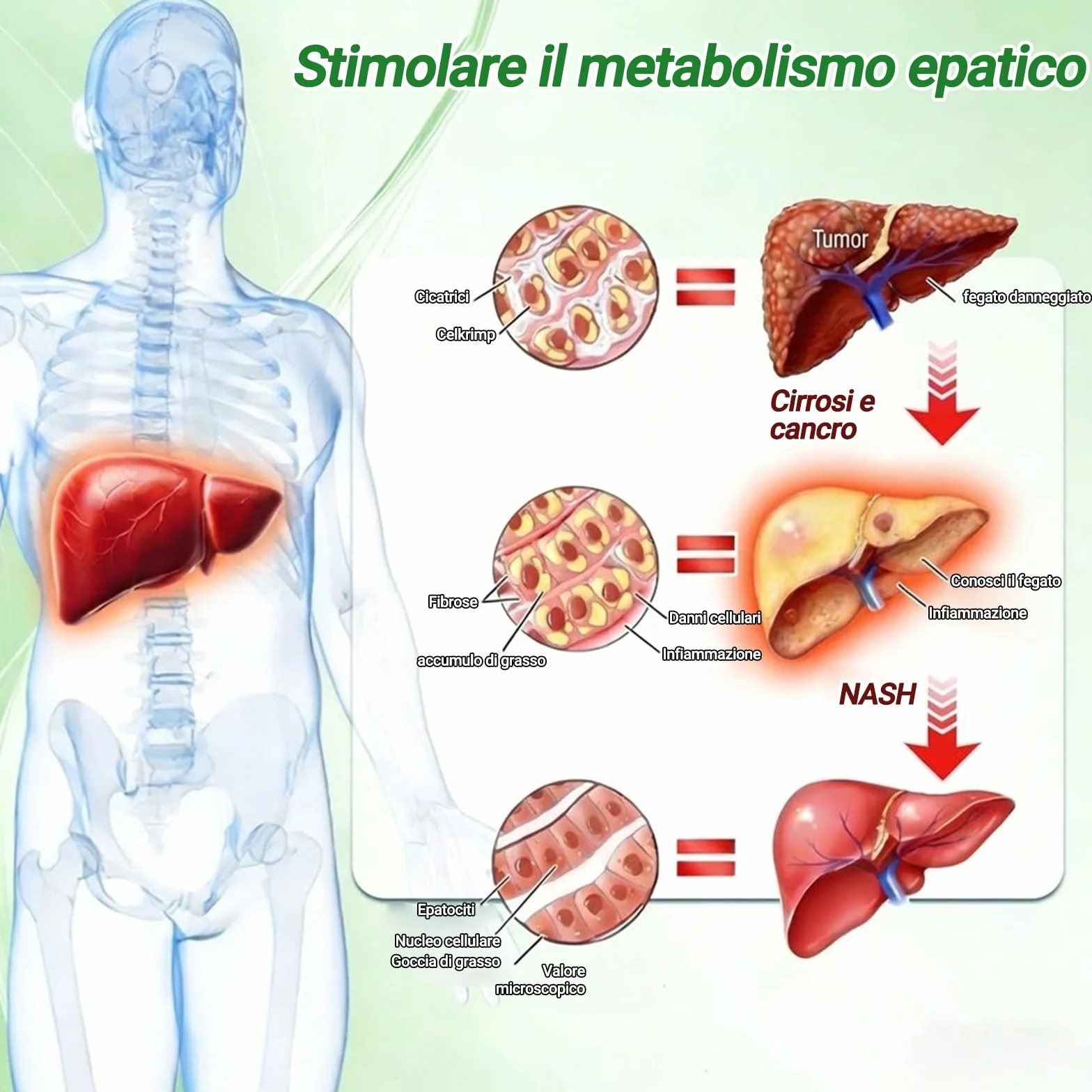 CureVivo Moringa NAD+ 10-in-1 Cerotto Avanzato ai Nano Microaghi, Naturali Moringa Cerotti Dimagranti, CureVivo Cerotti Dimagranti Efficaci, per Addome, Gambe e Braccia (2 Scatole)