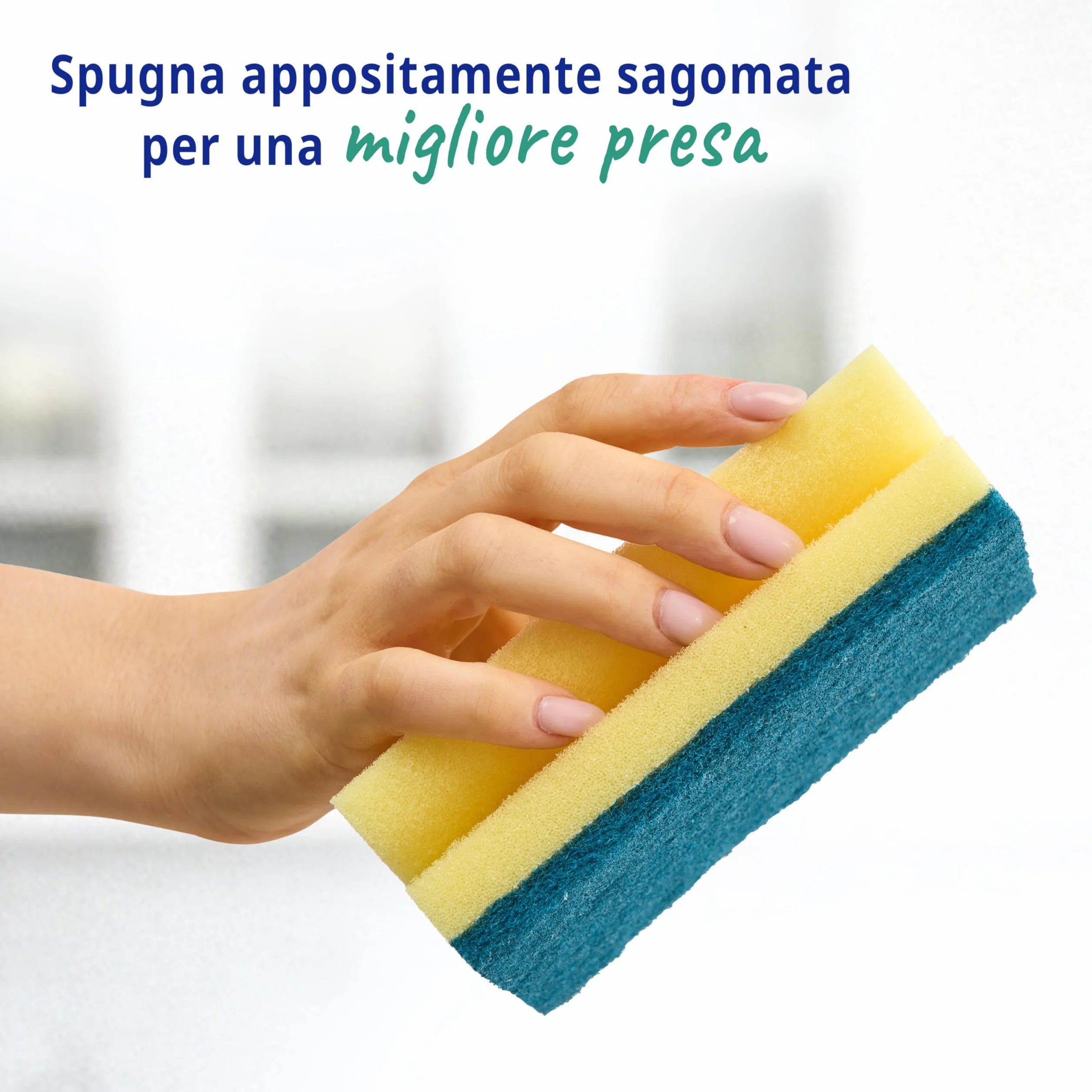 Spontex Specialist Spugna abrasiva XL Confezione da 6
