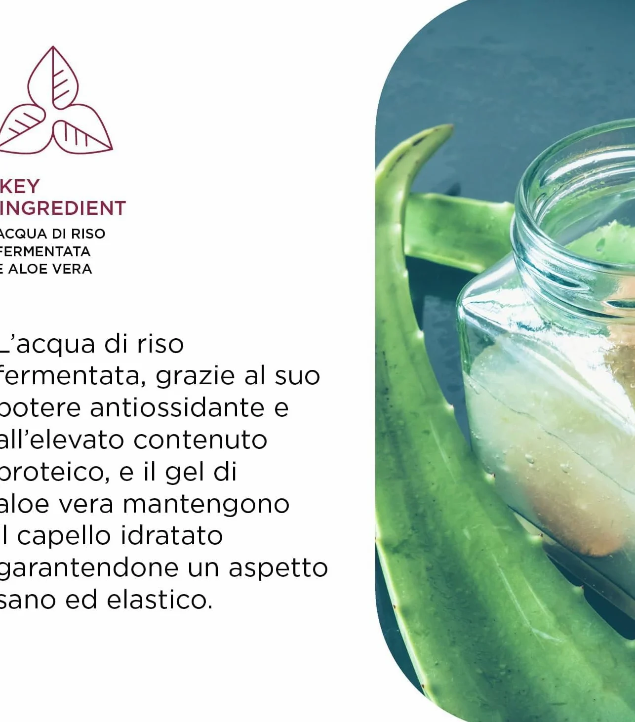 Kemon - Curly Hair Mask, Maschera Per Capelli Ricci E Definiti 1000ml | A Base Di Acqua Di Riso E Aloe Vera, Per Ricci Morbidi e Idratati, Azione Riparatrice E Anti Crespo