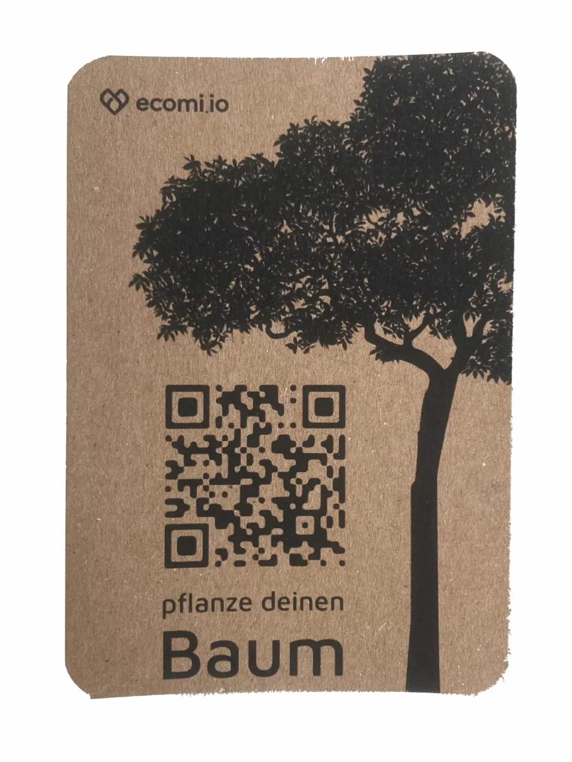 Pannello in vermiculite SENDEO 30 mm 500 x 300 mm 2 pezzi