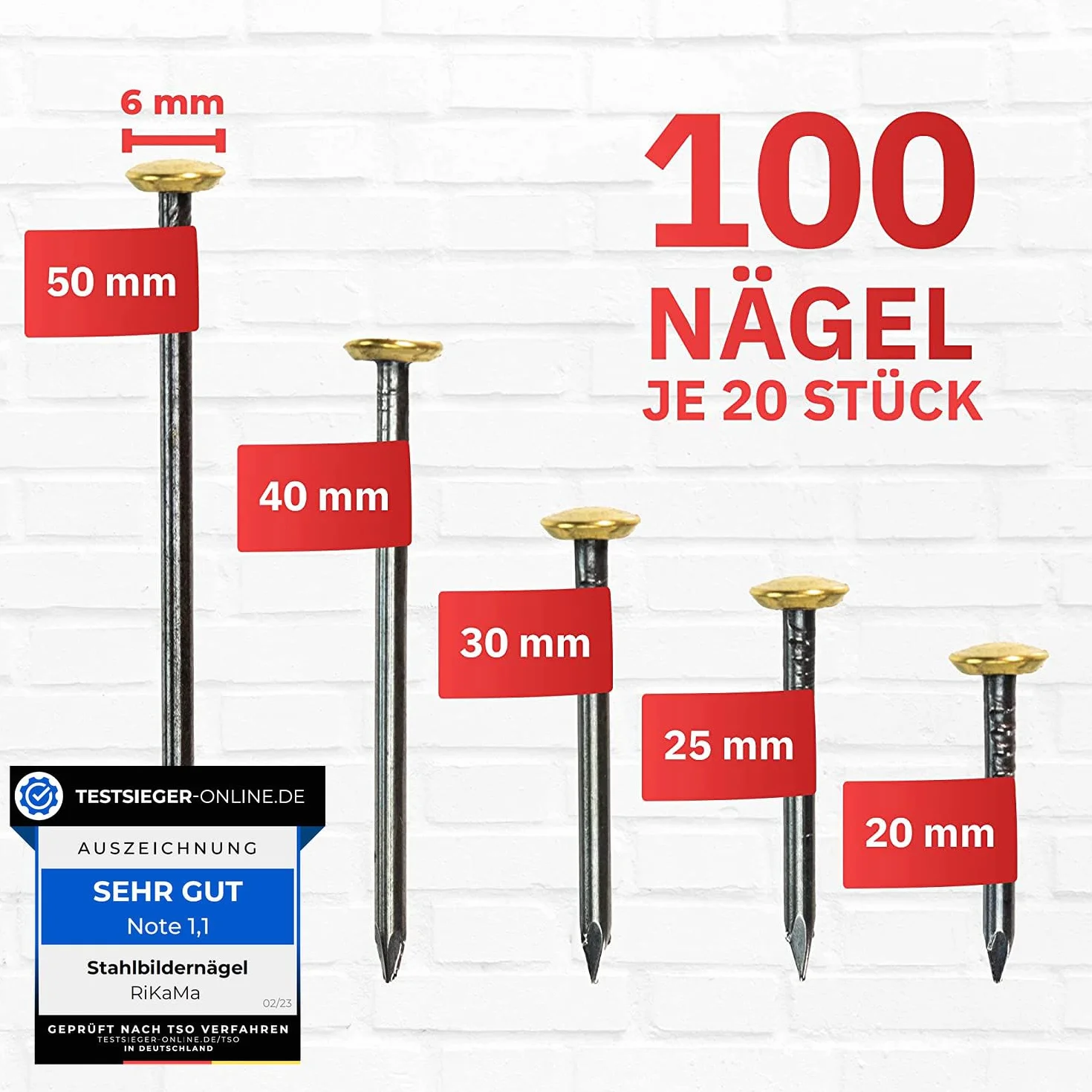 RIKAMA Chiodi in acciaio temprato per cemento mattoni gesso legno 100 sztuk Made in Germany
