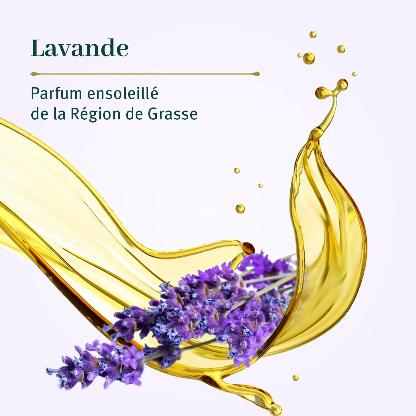 LE PETIT OLIVIER - Lotto di 12 - Puro sapone liquido di Marsiglia - Profumo di lavanda della regione grassa - Pulisce la pelle in morbidezza - 95% di origine naturale - Made in France - 300 ml
