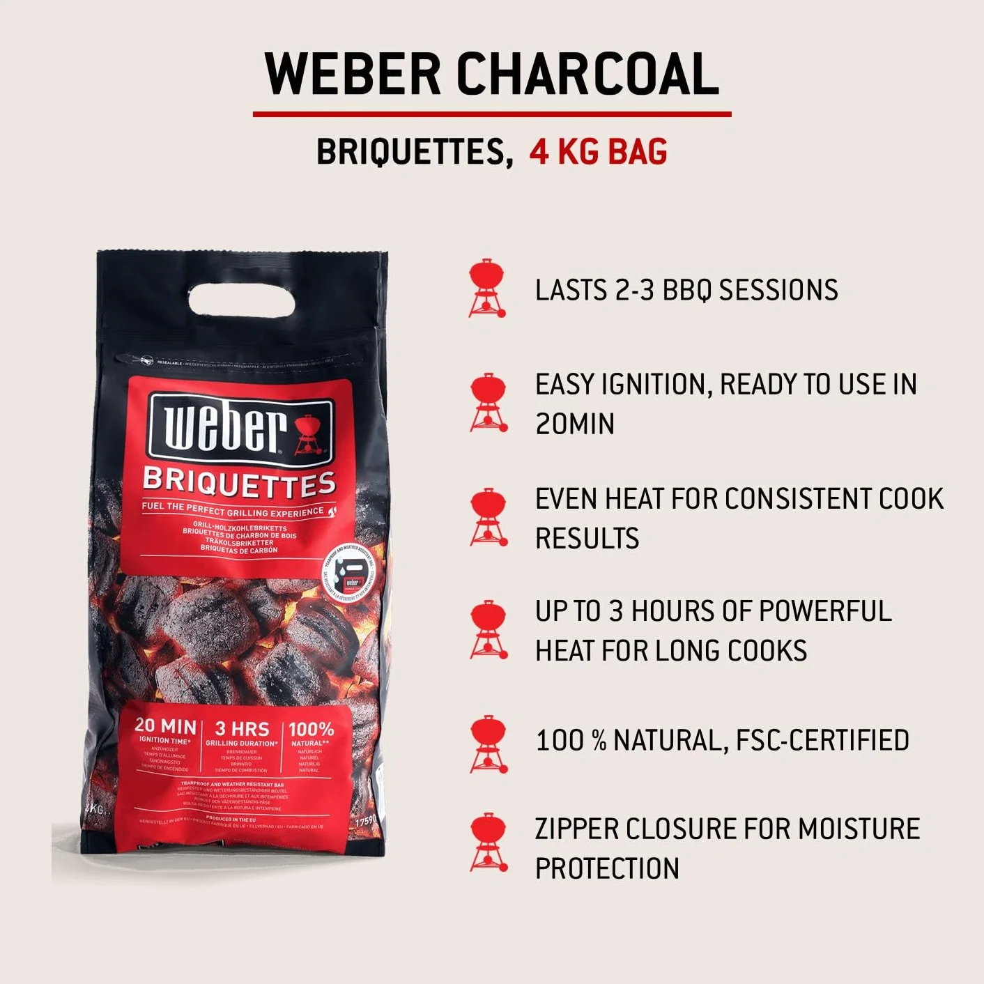 Weber Bricchetti di carbone 4 kg BBQ combustibile naturale accensione 20 minuti 3 ore