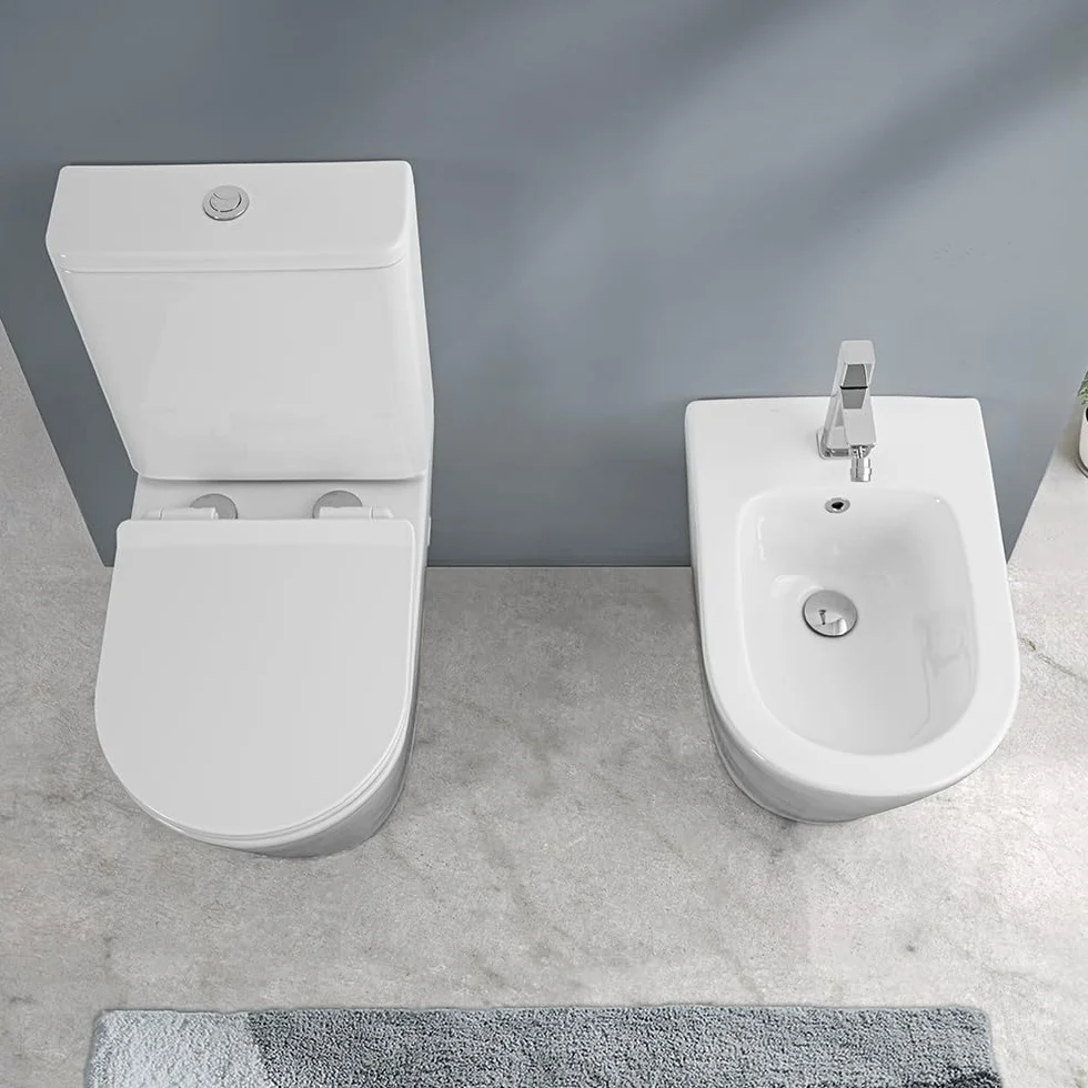 WC Filomuro Monoblocco Rimless Ceramica Bianco Lucida Linea Tygo 38x62x82,5 cm Sedile Soft-Close