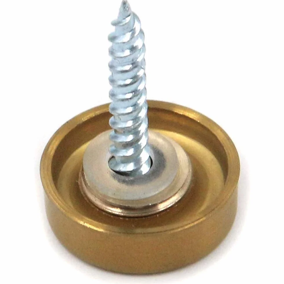 Greluma Viti per Specchietti 16 Pezzi 16mm Acciaio Inossidabile Cappucci Decorativi