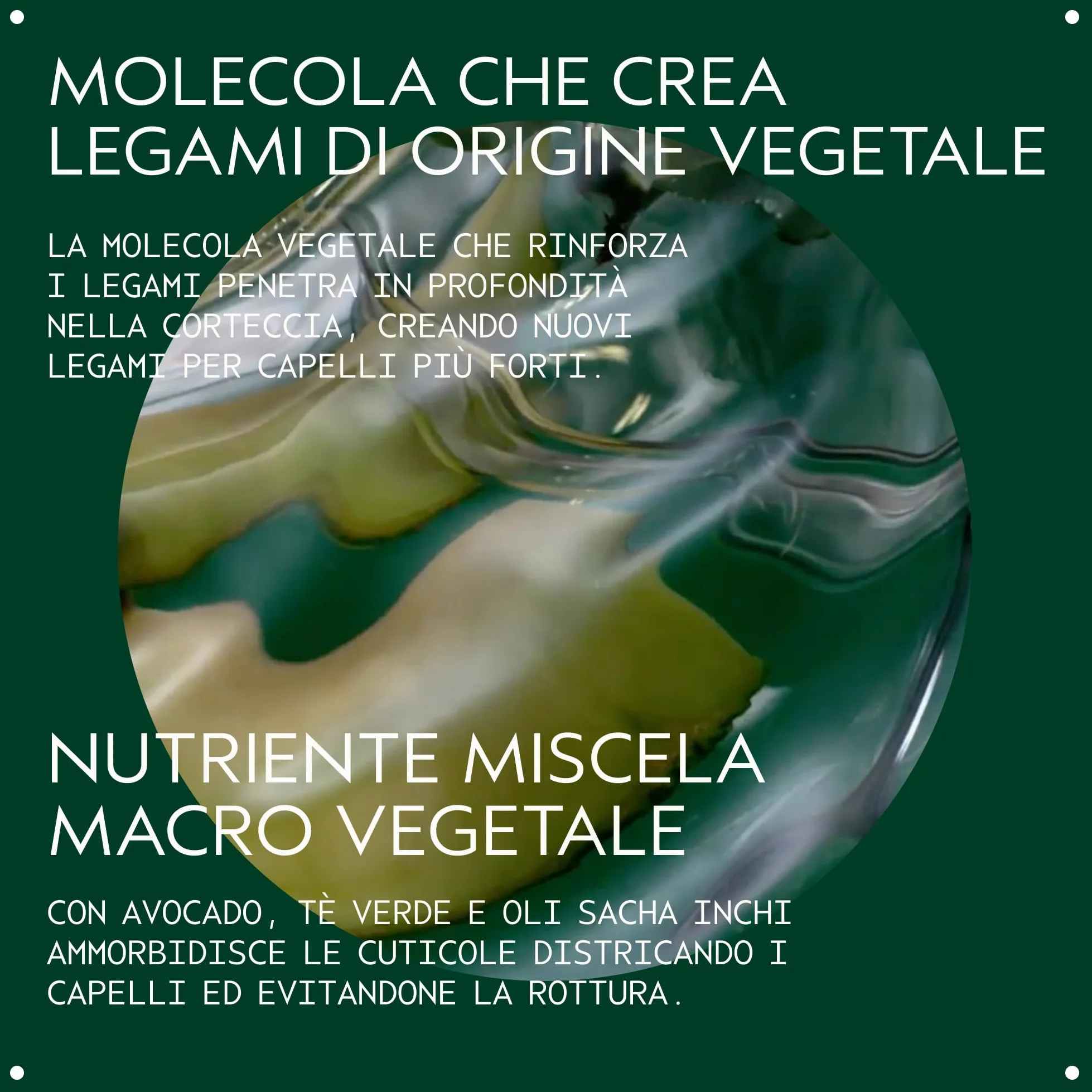 Aveda Botanical Repair Routine: Shampoo ristrutturante (200 ml) + Balsamo Ristrutturante (200 ml) - Rafforza e ripara i capelli danneggiati - Balsamo senza Siliconi che Districa all’Istante