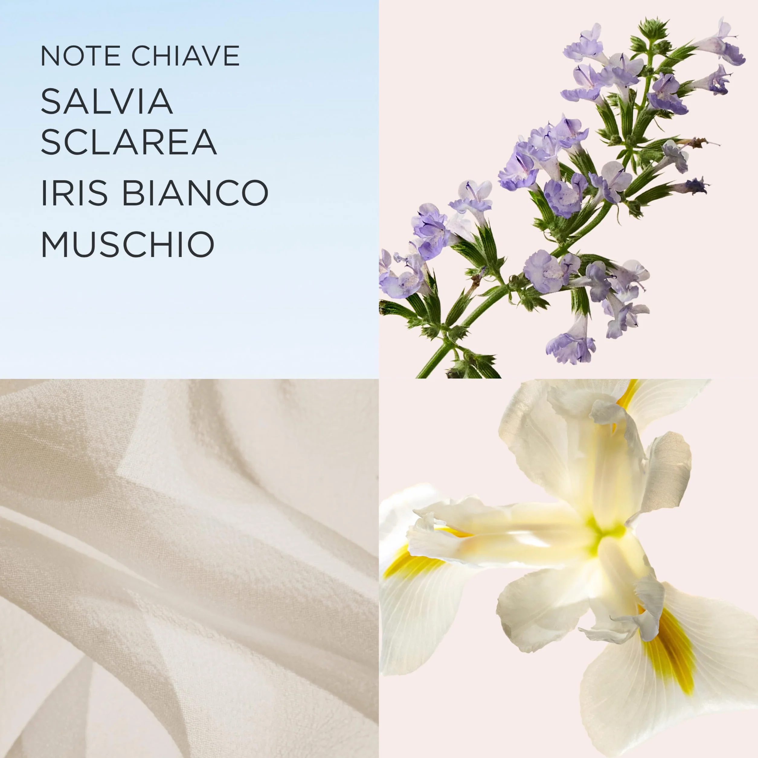 Elizabeth Arden White Tea, Eau de Toilette Spray, Profumo con Mandarino, Estratto di Tè Bianco e Legno di Madras, Floreale, Femminile e Dolce, Morbido Calore, Profumo per Donna 100 ml
