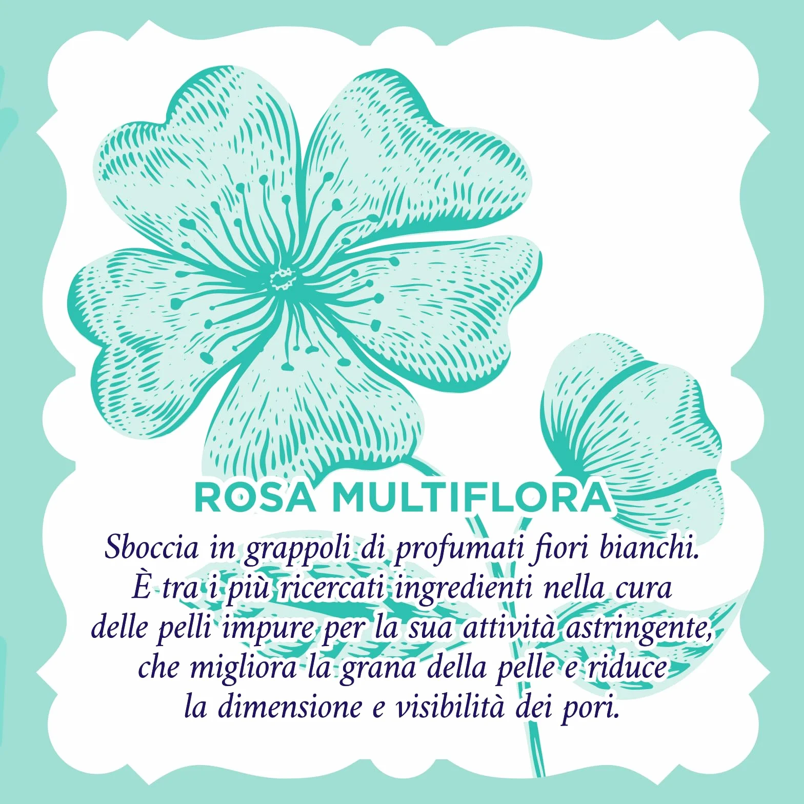 Acqua alle Rose, Gel Lavaviso Purificante con Attivi Astringenti di Rosa Multiflora, Detergente Viso per Pelli Miste o con Imperfezioni, Deterge, Purifica e Opacizza, Uso Quotidiano, 200 ml