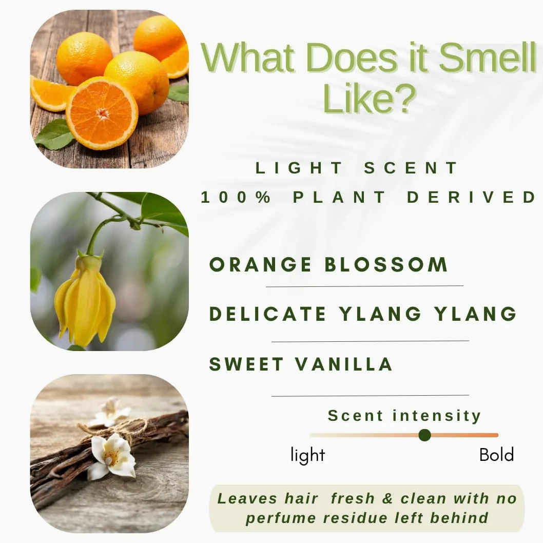 /liv/Nature- Shampoo Bar | Volume e idratazione per capelli secchi | Olio di Argan, Arancia Dolce, Ylang Ylang | Travel Essen