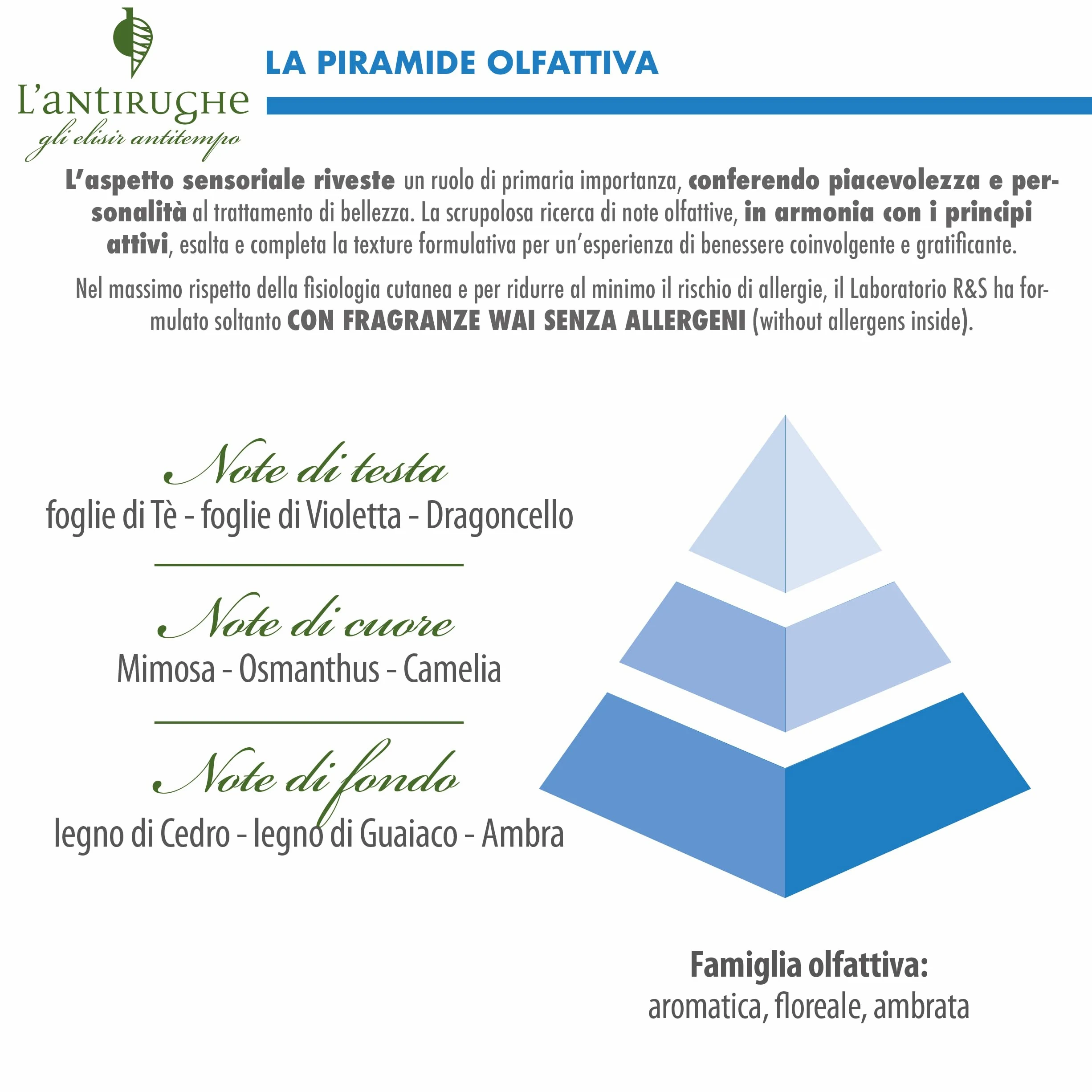 Helan L'Antirughe - Crema Viso Antirughe, Skincare Liftante con Vitamina C e E, Crema Idratante Viso Rimpolpa con Retinolo e Peptidi Antiage, Skin Care Stimola Collagene Avocado e Burro di Karitè 50ml