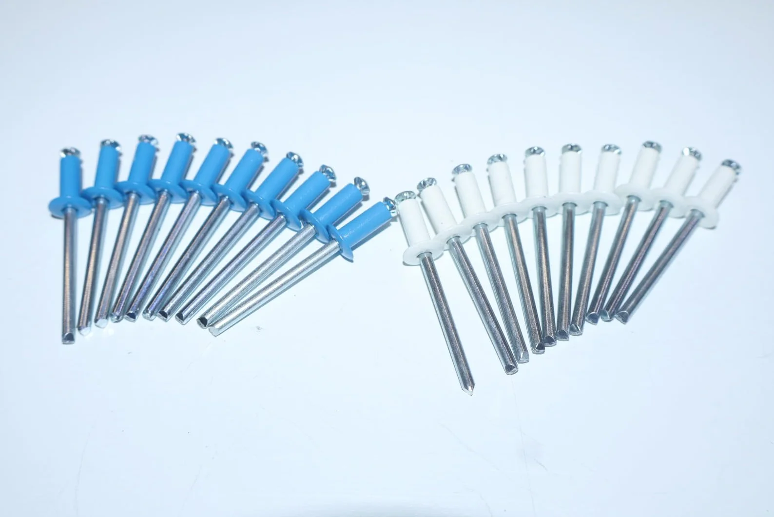 VITFER Kit 100 Rivetti 4.8x12 a Fiore per Targhe Auto Moto 60 Blu 40 Bianchi