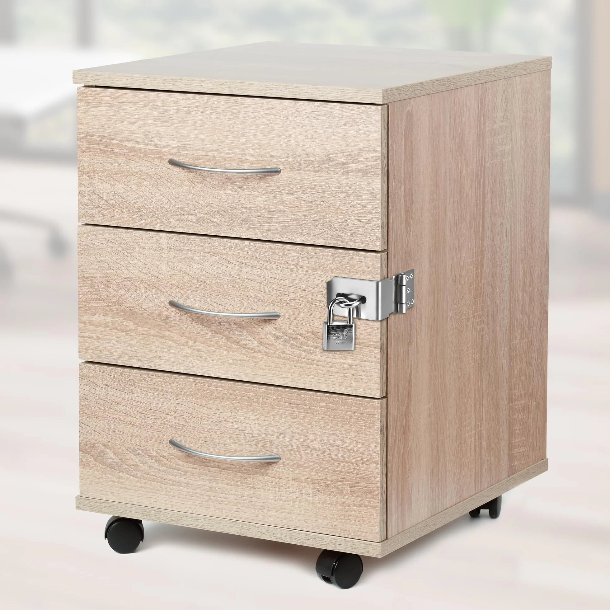 Lucchetto con Chiusura a Viti, Serratura Porta con Chiave, Hasp 90° Acciaio Inox per Giardino