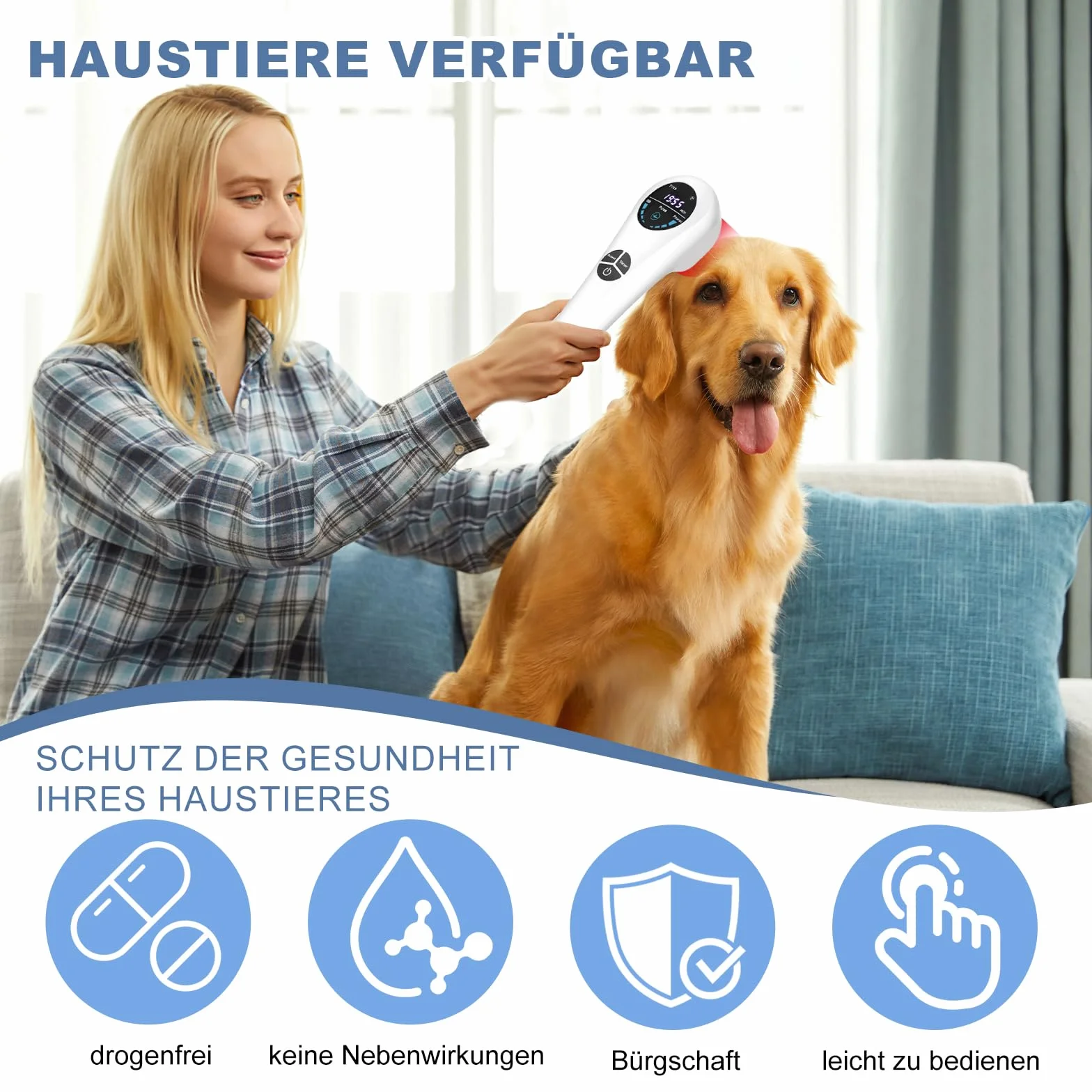 Apparecchio portatile a luce rossa fredda, 650 & 808 nm 5-30 minuti di trattamento per animali domestici, con supporto e occhiali inclusi