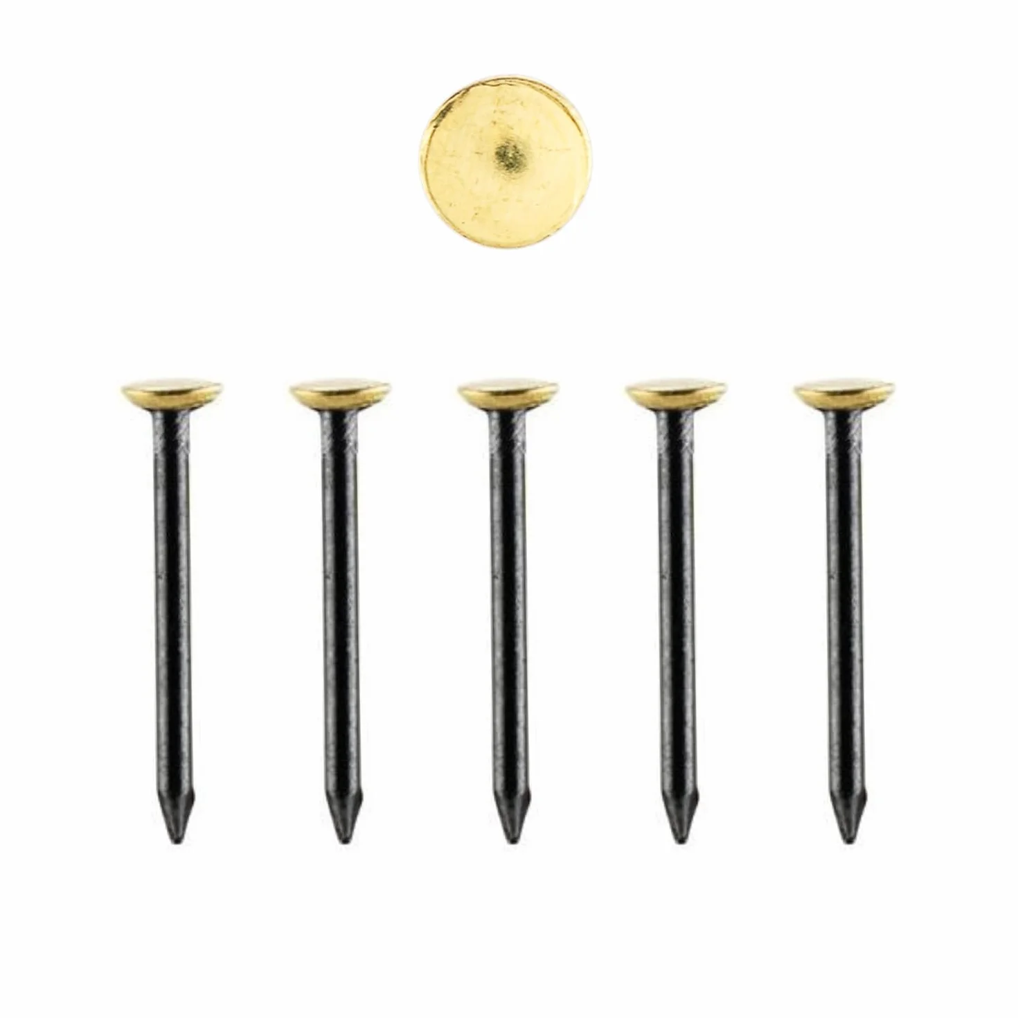 Chiodi per quadri 30 mm Lunghezza selezionabile 20-50 mm Appendere senza forare per pareti