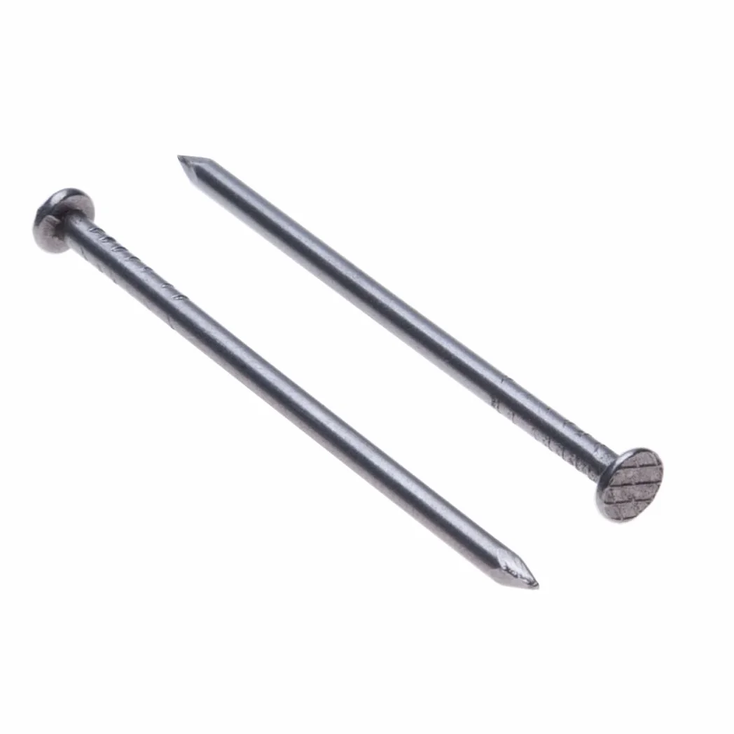 Chiodi per Legno Testa Tonda Piatta 100 Pezzi Ferro Nero 40 mm x 2 mm