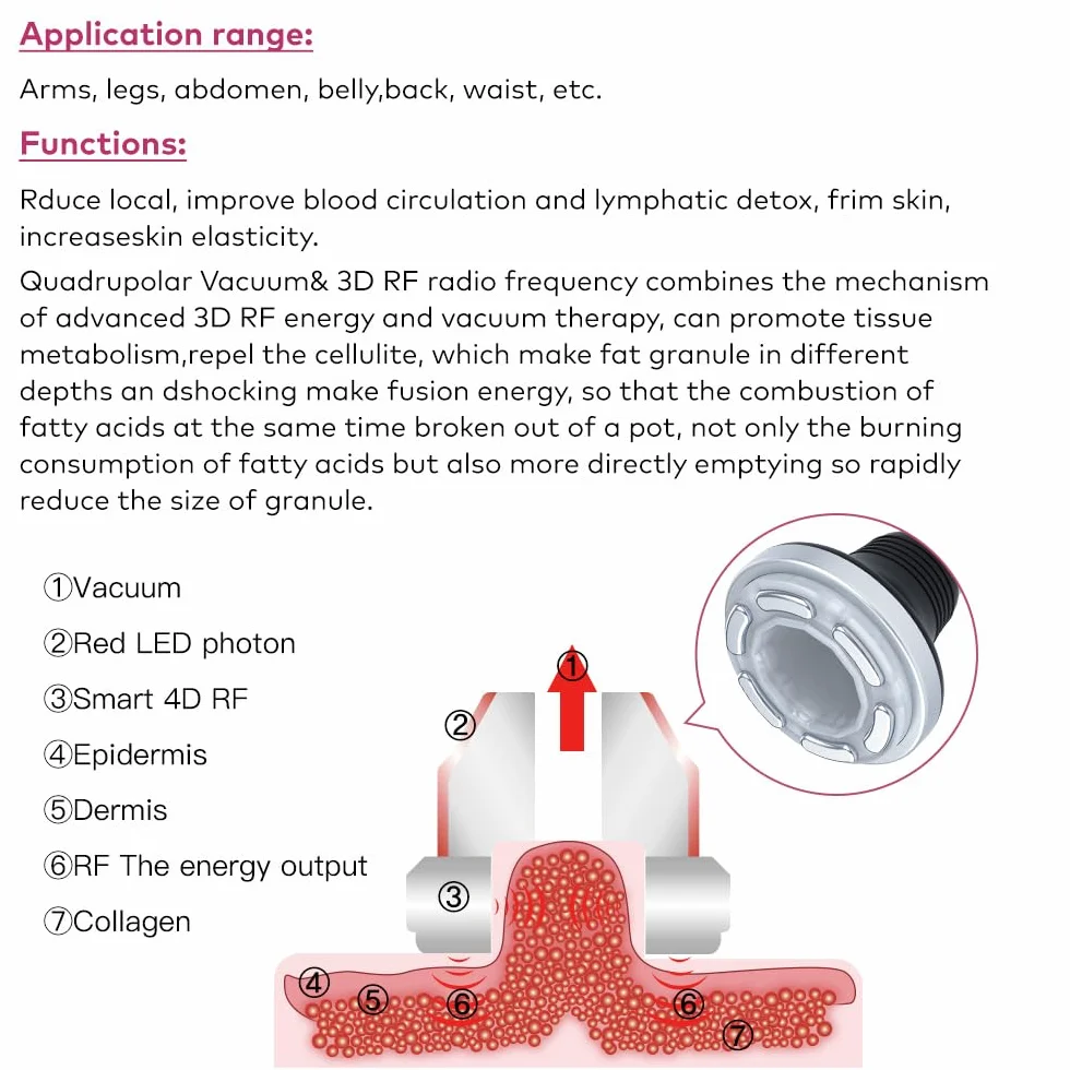 Elitzia 6 in 1 Body Sculpting Cavitazione 80 K Macchina per bruciare i grassi Macchina per cavitazione Vacuum RF EMS Skin Tightening RF Ridurre le Rughe Radiofrequenza Ultrasuoni Saloni Spa Uso
