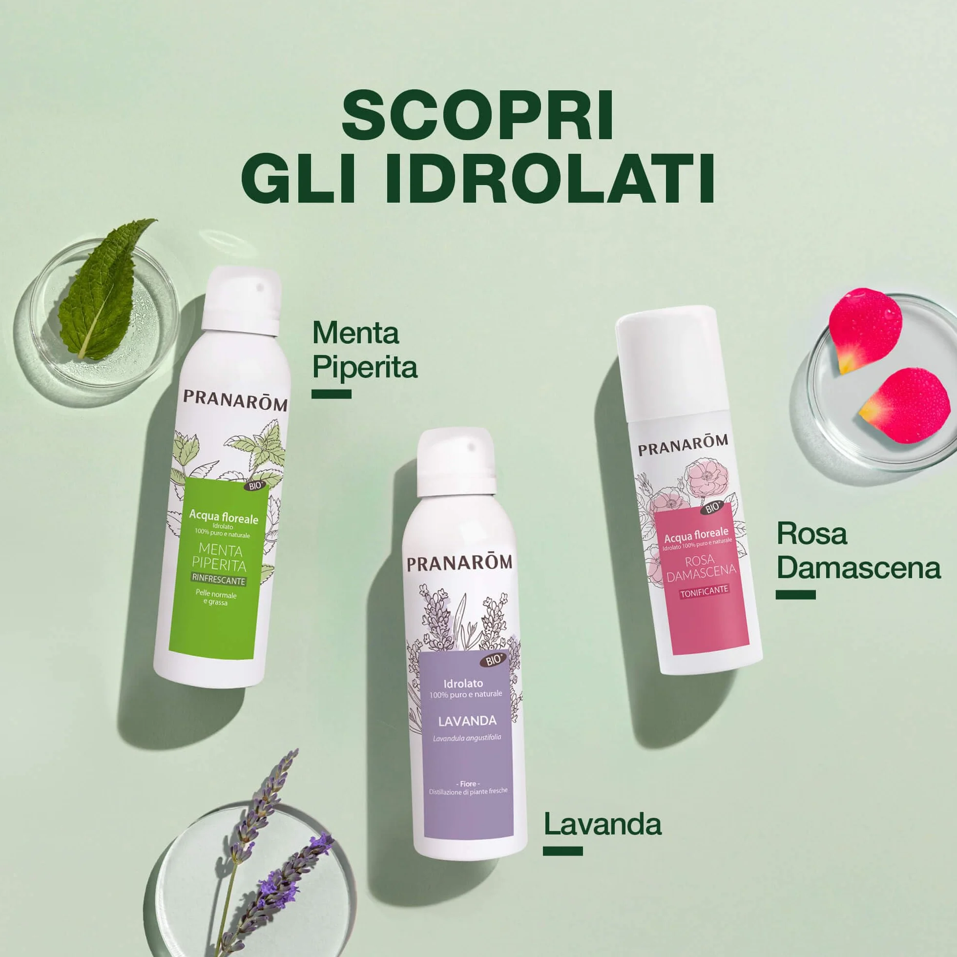 Pranarôm - Idrolato Camomilla Nobile Bio 150 ml, Lenisce Occhi Gonfi e Stanchi, Decongestiona, Ideale per Pelle Sensibile e Capelli Chiari, 100% Puro e Biologico, Senza Alcool e Conservanti